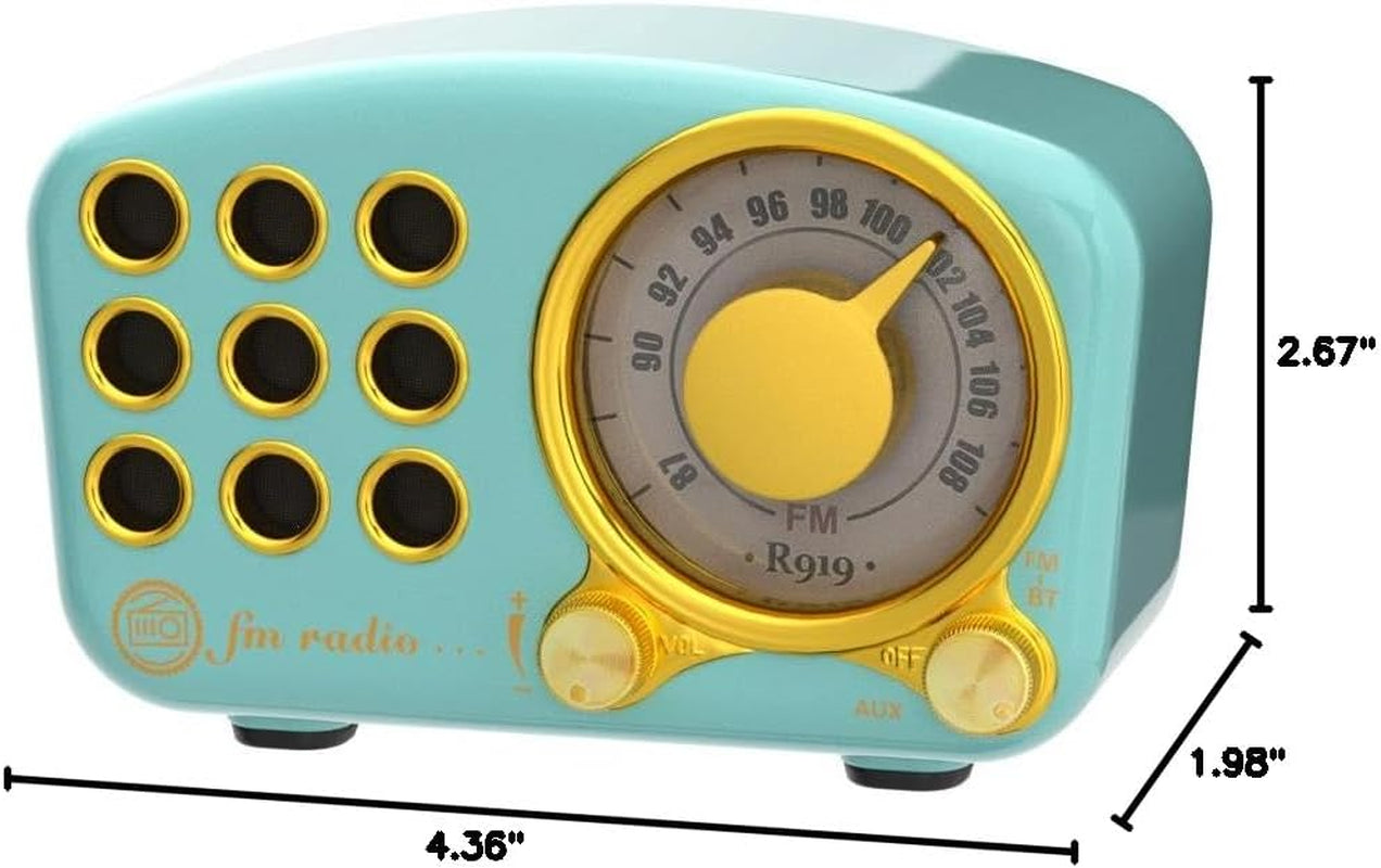 Retro Bluetooth Speaker, Vintage Radio- FM Radio with Old Fashioned Classic Style, Strong Bass Enhancement, Loud Volume, Bluetooth 5.0 Wireless Connection, TF Card and MP3 Player (Blue)